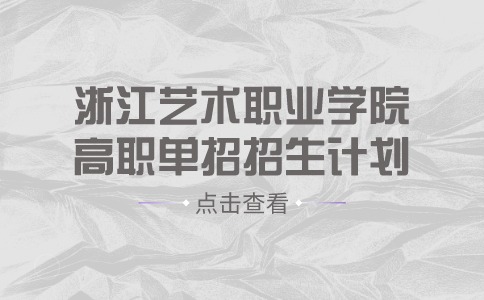 2024年浙江艺术职业学院高职单招招生计划